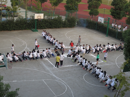 ͩ��һ������κ�����������