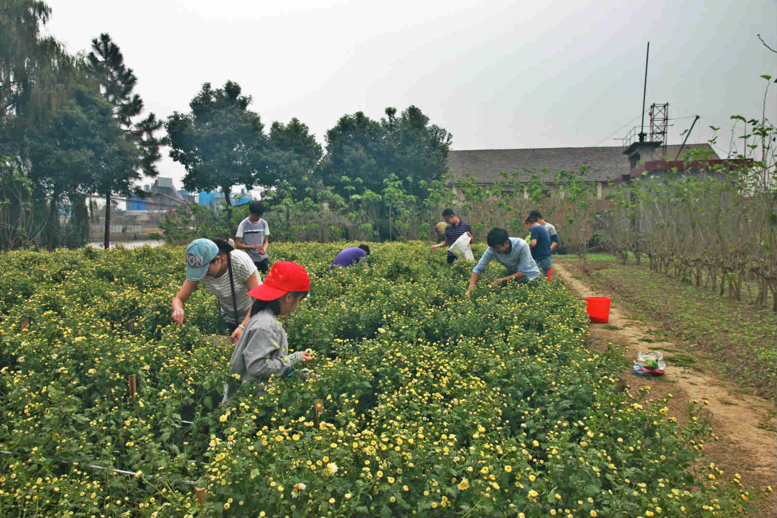 ������˰������֧��ժ̥�ա��װ��ģ��»��㡱�