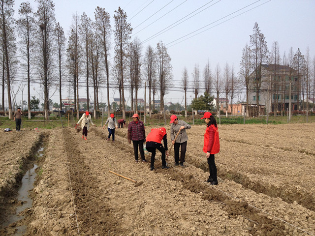 �м���վ���꿪չ����ũֲ�����